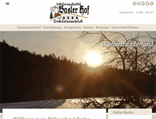 Tablet Screenshot of baslerhof.de